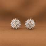 Load image into Gallery viewer, Elegant Silver Crystal Floral Stud Earrings for Women & Girls